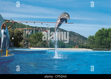 Apulien - Fasano, Zoo Safari. Delfine Stockfoto
