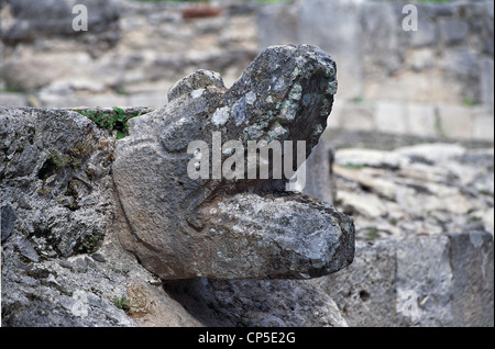 Mexiko - Yucatan - Maya-Ausgrabungen von Mayapan. Detail einer zoomorphen Skulptur. Stockfoto