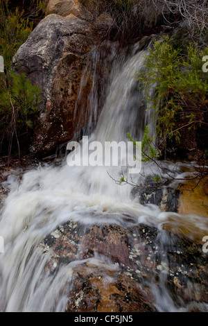 Ein kleiner Wasserfall auf Bainskloof Pass, Western Cape, Südafrika Stockfoto