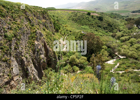 Israel, oberen Galiläa, Iyyon Fluss Natur behalten die Kreidefelsen. Frühling-April Stockfoto