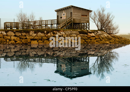 Holzhütte für die Vogelbeobachtung in den Sümpfen von Santona, Kantabrien, Spanien. Nationale Wetlands Park Stockfoto