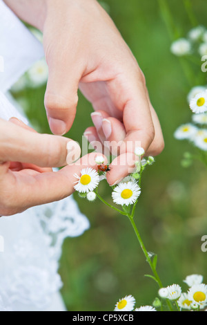 eine Frau, Marienkäfer auf der Blume Stockfoto