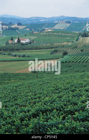 Piemont zwischen Acqui Terme und Nizza Monferrato AGRARLANDSCHAFT Stockfoto
