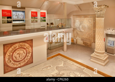 Im Inneren des Museums Roman Corinium in Cirencester, England Stockfoto