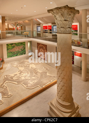 Im Inneren des Museums Roman Corinium in Cirencester, England Stockfoto