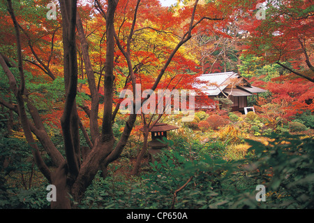 Japan - Honshu - westlichen Tokyo, Minami-Aoyama Bezirk. Nezu Kunstmuseum, Garten. Stockfoto