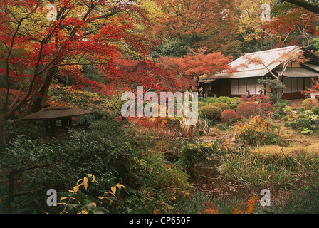 Japan - Honshu - westlichen Tokyo, Minami-Aoyama Bezirk. Nezu Kunstmuseum, Garten. Stockfoto