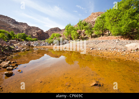 Ein Flussbett Austrocknen in eine Dürre anfälligen Bereich des Anti-Atlas, Marokko. Stockfoto