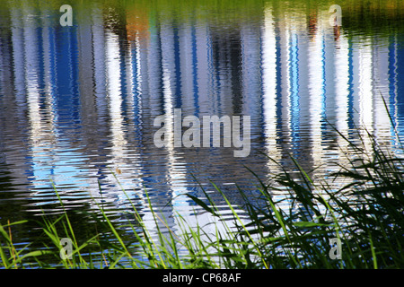 Die Reflexion des Pavillons auf dem Gelände von Catherine Palace St Petersburg Stockfoto