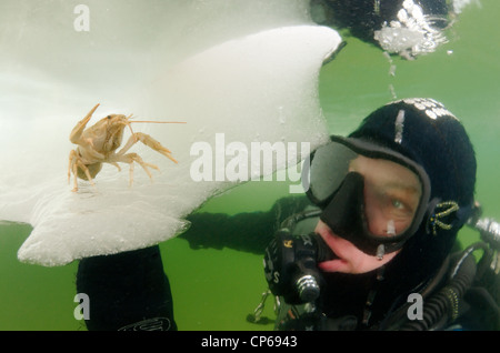 Taucher, subglazialen Tauchen, Eistauchen, im gefrorenen schwarzen Meer, ein seltenes Phänomen, letztmals im Jahr 1977, Odessa, Ukraine fiel, Stockfoto