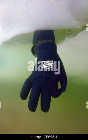 Tauchers Aushaendigen OK Sign., subglazialen Tauchen, Eistauchen, im Schwarzen Meer gefrorenen, Stockfoto