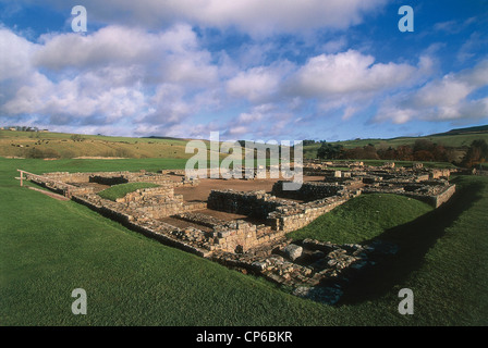 Großbritannien - England - Northumberland - Vindolanda. Ruinen des römischen Kastells: die Festung. Stockfoto