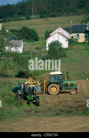 Großbritannien - Schottland - Isle of Bute - Rothesay, Farmarbeit. Stockfoto