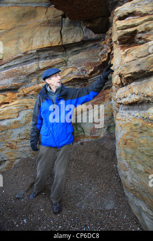 Professioneller Geologe John Hudson führt eine Geologie-Tour bei Scarborough, North Yorkshire, England, UK Stockfoto