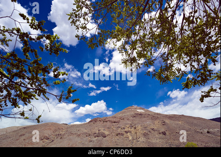 Blick auf den "Berg (oder Tenderfoot Berg) aus dem Land nur über den Arkansas River von der Innenstadt von Salida, Colorado, USA Stockfoto