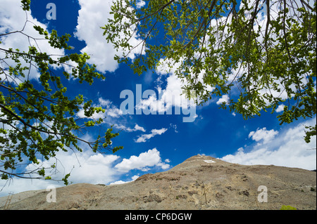 Blick auf den "Berg (oder Tenderfoot Berg) aus dem Land nur über den Arkansas River von der Innenstadt von Salida, Colorado, USA Stockfoto