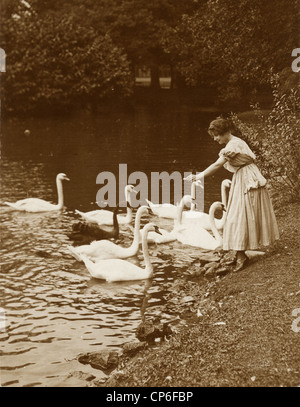 Edwardian Schönheit in einem Teich Schwäne füttern Stockfoto