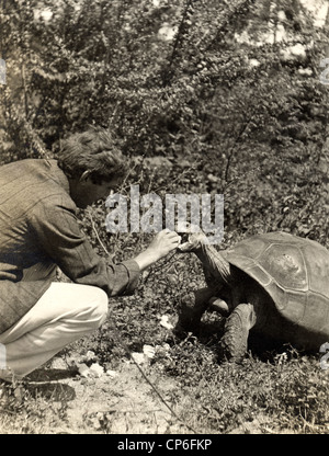 Mann, die Fütterung einer große Schildkröte Stockfoto