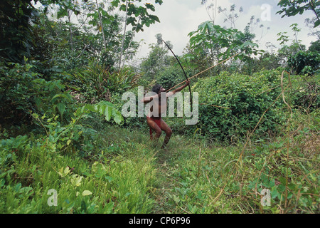Venezuela, Guayana Amazonas, in der Nähe von Rio Siapa. Indio-Yanomami Stamm Cavaroa Jagd im Wald. Mann im Akt der Dreharbeiten Pfeil mit Stockfoto