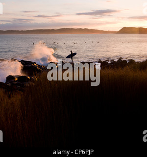 Manu Bay bei Surfern und Surfer zu Fuß über die Felsen ins Wasser, mit der aufgehenden Sonne, Raglan, Neuseeland Stockfoto