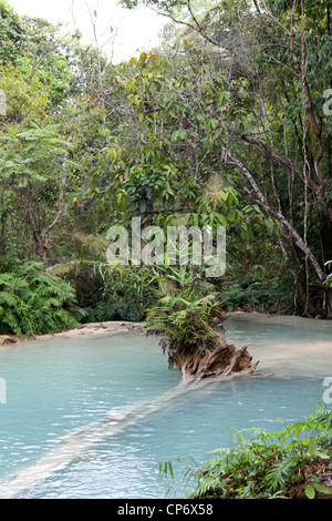 Mehrstufige Kuang Si Wasserfall im gleichnamigen Waldpark (Luang Prabang - Laos). La Cascade Multiniveaux Kuang Si (Laos). Stockfoto