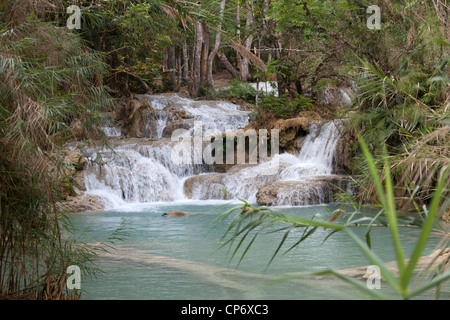 Mehrstufige Kuang Si Wasserfall im gleichnamigen Waldpark (Luang Prabang - Laos). La Cascade Multiniveaux Kuang Si (Laos). Stockfoto