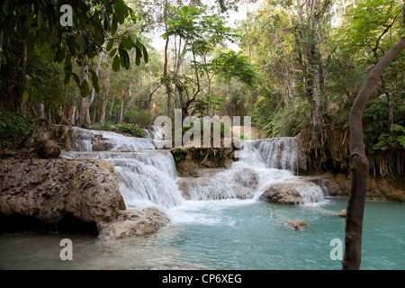 Mehrstufige Kuang Si Wasserfall im gleichnamigen Waldpark (Luang Prabang - Laos). La Cascade Multiniveaux Kuang Si (Laos). Stockfoto