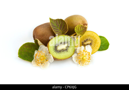 Golden New Zealand gold Kiwis mit Blättern und Blüten isoliert auf weiss Stockfoto