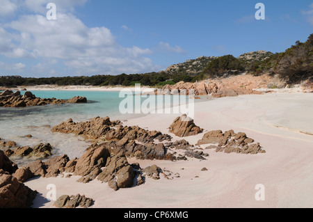 Der Blick auf den berühmten Strand von Spiaggia Rosa in Budelli Insel des Archipels von La Maddalena Nationalpark, Sardinien, Italien Stockfoto