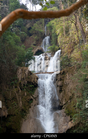 Mehrstufige Kuang Si Wasserfall im gleichnamigen Waldpark (Luang Prabang - Laos). La Cascade Multiniveaux Kuang Si (Laos). Stockfoto