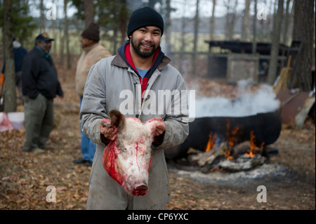 Mann mit abgeschlagenen Schweine Kopf in Schwein Schlachten Prozess Stockfoto