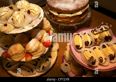 Afternoon-Tea Leckereien auf dem display Stockfoto