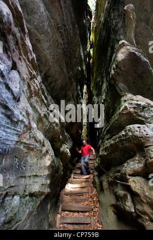 Weg mit Treppe, die durch Schlucht in Sandstein Felswand Perekop in Berdorf, kleine Schweiz / Müllerthal, Luxemburg Stockfoto