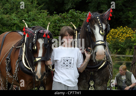 Shire Horses und Handler in Heddington und Stockley Steam Rally. Stockfoto