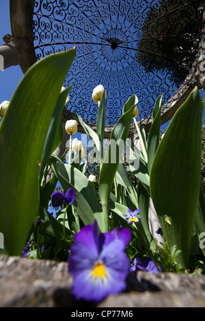 Cholmondeley Schlossgärten. Malerische Frühjahr Blick auf eine Laube mit Tempelgarten im Hintergrund. Stockfoto