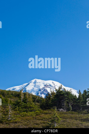 Der Spitze des Mount Rainier Höchststand bis oben Spray Park in Mount Ranier Nationalpark, Washington, USA. Stockfoto