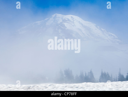 Der Spitze des Mount Rainier Höchststand durch den Nebel über dem Spray Park in Mount Ranier Nationalpark, Washington, USA. Stockfoto