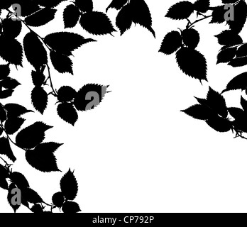 Schwarze weiße Blätter isoliert auf einem weißen Hintergrund. Silhouette Stockfoto