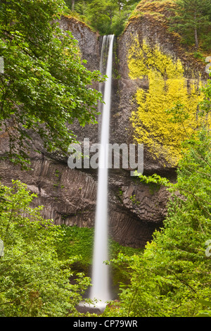 Latourell Wasserfälle entlang des Columbia River Gorge in Oregon, im Guy W. Talbot State Park Stockfoto