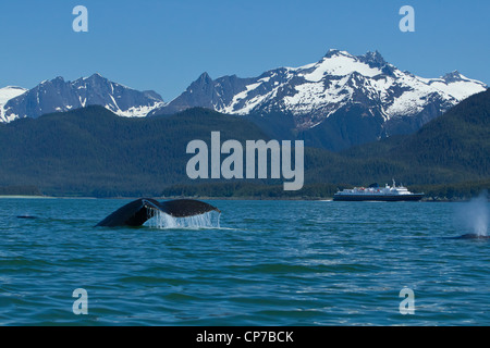 Zusammensetzung: Buckelwal wegzuwerfen in Lynn Canal mit einer Fähre in der Ferne, Inside Passage, südöstlichen Alaska, Sommer Stockfoto