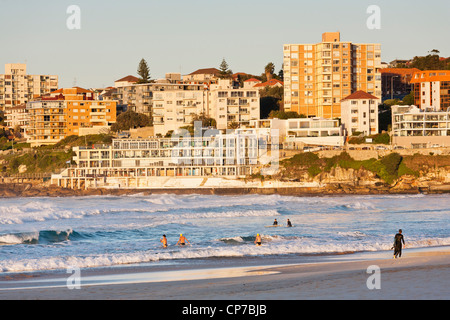 Am frühen Morgen Schwimmer und Surfer am Bondi Beach, Sydney. Mehrfamilienhäuser und Eisberge Club im Hintergrund. Stockfoto