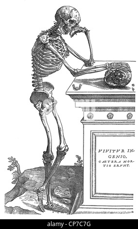 Illustration von nachdenklich menschlichen Skelett stützte sich auf Grab mit Totenkopf, weißen Hintergrund. Gravur stammen aus Buch von Andreas Vesalius, "Fabrica", veröffentlicht im Jahre 1543. Stockfoto