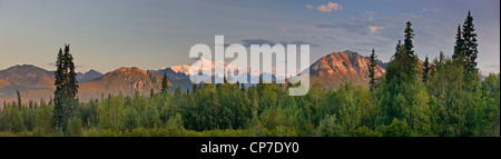 Sunrise Alpenglühen leuchtet Mount McKinley und der Elch Zahn, gesehen von den Veterans Memorial im Denali Nationalpark, Alaska Stockfoto