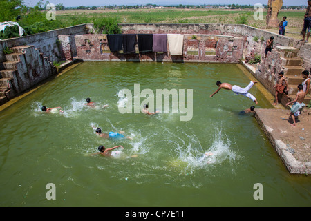 Jungen schwimmen in den Tank des Haveli außerhalb Rhotas Fort in der Provinz Punjab, Pakistan Stockfoto