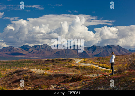 Frau, Blick auf den Herbst Tundra auf die Alaska Range an der Nordseite des Denali Highway, innen Alaska Stockfoto