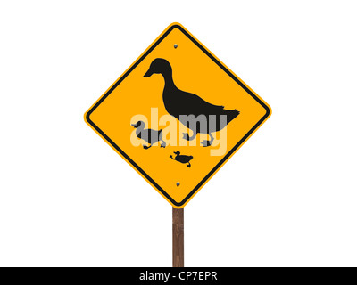 Ente überqueren Vorsicht Straßenschild isoliert. Stockfoto