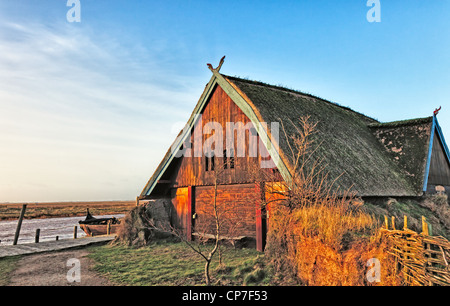 Urige alte Wikingerzeit Haus Hütte im Dorf Bork, Dänemark Stockfoto