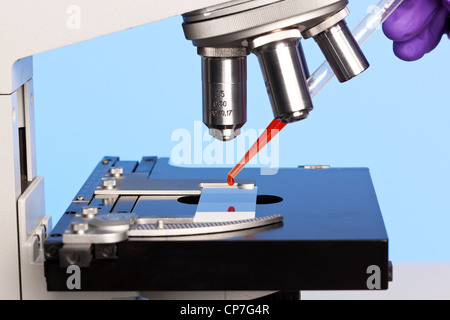 Foto von einem Labor-Mikroskop mit einer Blutprobe auf einen Objektträger. Stockfoto
