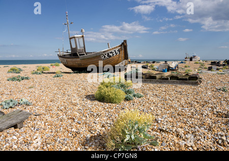 Boote am Dungeness Kent Küste UK Kies Strand, mit Pflanzen im Vordergrund Stockfoto