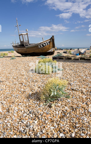 Boote am Dungeness Kent Küste UK Kies Strand, mit Pflanzen im Vordergrund Stockfoto